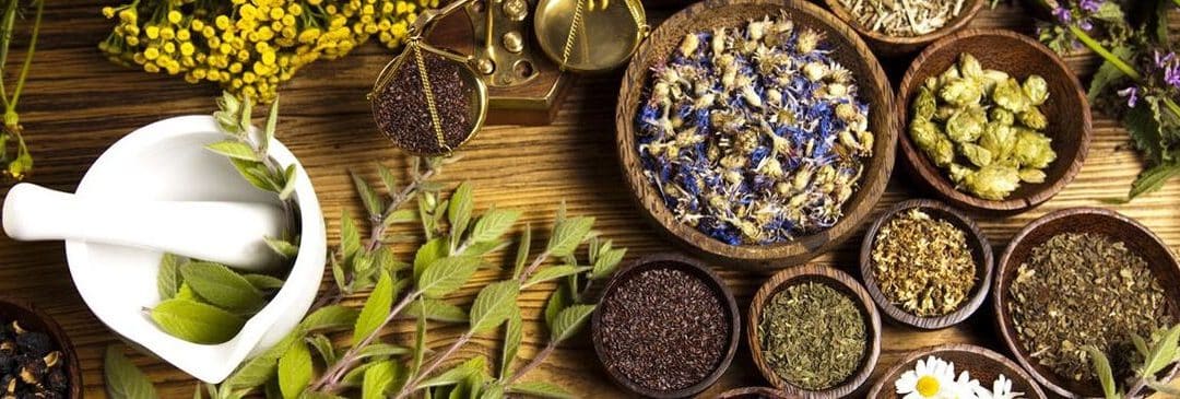 What is Naturopathic Medicine + How can it help?