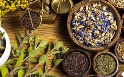 What is Naturopathic Medicine + How can it help?